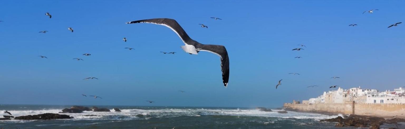 Villa L'Oiseau Bleu Essaouira Esterno foto